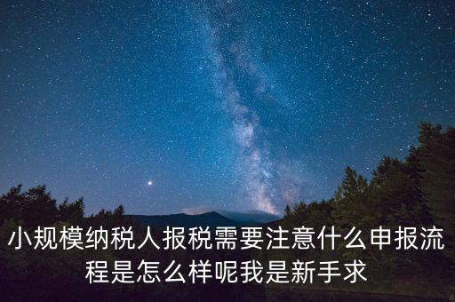 報(bào)稅需要注意什么手續(xù)，一般納稅人每個(gè)月怎么報(bào)稅報(bào)稅時(shí)要注意什么流程是怎么樣的