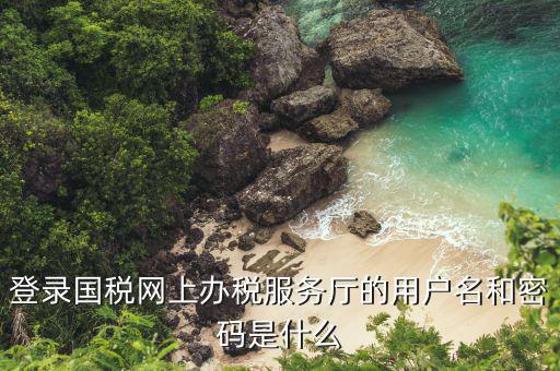 河北省地稅登陸的用戶名是什么，登錄國稅網(wǎng)上辦稅服務廳的用戶名和密碼是什么