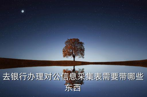 廣東實(shí)名信息采集需要什么資料，去銀行辦理對(duì)公信息采集表需要帶哪些東西