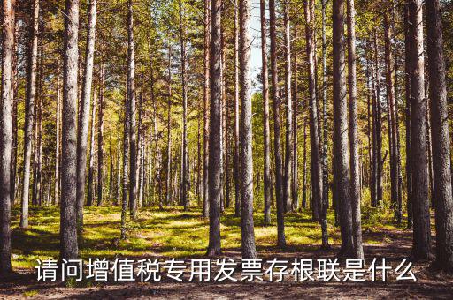 發(fā)票存根聯(lián)是什么，發(fā)票存根聯(lián)是按發(fā)票購領(lǐng)本上領(lǐng)購的本數(shù)裝訂還是25張裝訂一冊