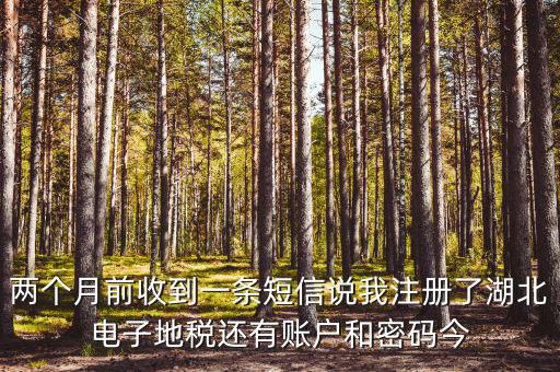 地稅什么時候會給電子稅務(wù)密碼，報(bào)地稅的時候登陸密碼每天有幾次輸入機(jī)會