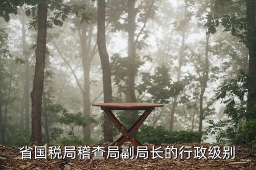 湖南稽查局長什么級別，湖南廣電局紀(jì)檢組長是什么級別