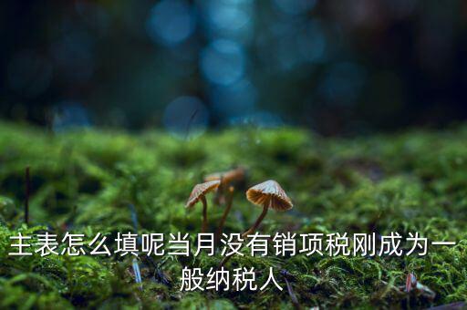 一般納稅人主表是什么意思，一般納稅人申報表主表的申明人必須輸入是什么意思