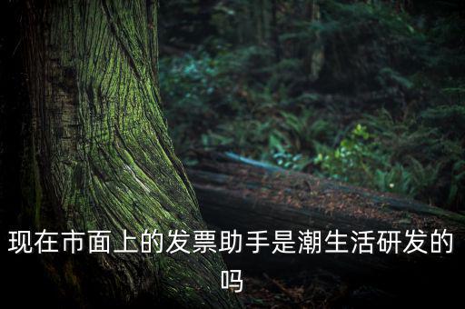 國稅發(fā)票助手是干什么的，現(xiàn)在市面上的發(fā)票助手是潮生活研發(fā)的嗎
