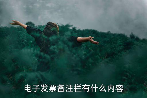 電子發(fā)票都寫什么資料嗎，電子發(fā)票備注欄有什么內(nèi)容