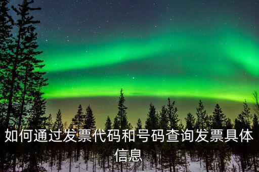 如何通過發(fā)票代碼和號(hào)碼查詢發(fā)票具體信息