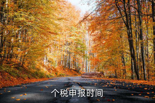 個人經營所得稅什么時候申報，個人所得稅明細申報什么時候報
