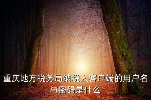 重慶國稅電子發(fā)票登錄密碼是什么，國稅局發(fā)票軟件里用戶代碼和密碼是什么