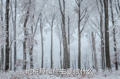 地稅大企業(yè)局做什么的，地稅局崗位主要做什么
