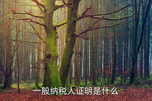 什么可以證明是一般納稅人，什么叫一般納稅人我如何辨別自己公司是否是一般納稅人