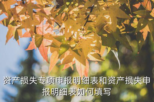 什么是專項(xiàng)資產(chǎn)損失申報(bào)表，所得稅申報(bào)表怎么填22資產(chǎn)損失
