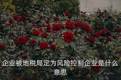 稅收風(fēng)險(xiǎn)控制是什么，稅務(wù)風(fēng)險(xiǎn)管理的稅務(wù)風(fēng)險(xiǎn)管理制度