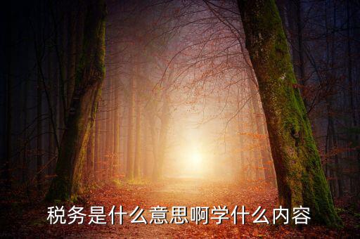 稅務(wù)中介是什么，稅務(wù)師事務(wù)所屬于什么行業(yè)
