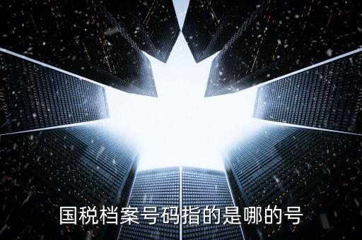 國稅號(hào)碼是什么，什么是國稅檔案號(hào)