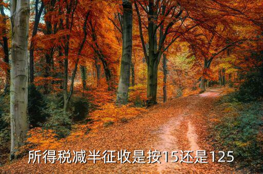 企業(yè)所得稅減半征稅是什么減半，技術(shù)轉(zhuǎn)讓收入減半征收企業(yè)所得稅 減的是收入還是稅率