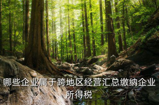 跨地區(qū)經(jīng)營(yíng)匯總納稅指的是什么，哪些企業(yè)屬于跨地區(qū)經(jīng)營(yíng)匯總繳納企業(yè)所得稅