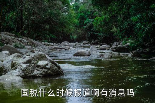 國(guó)稅同崗?fù)I什么時(shí)候?qū)崿F(xiàn)，請(qǐng)問國(guó)稅什么時(shí)候才能實(shí)現(xiàn)陽(yáng)光工資