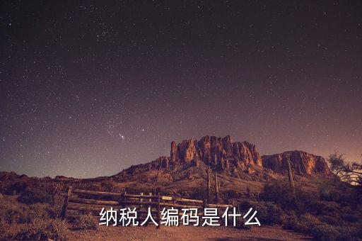 納稅人國(guó)稅編碼是什么意思，納稅人編碼是什么