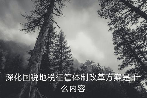 改革國稅地稅征管體制要求什么，改革國稅地稅征管體制有何意義專家推進(jìn)稅收法治建設(shè)