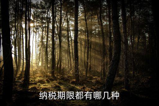 什么是資源稅納稅期限，資源稅每月征收期截止到什么時間
