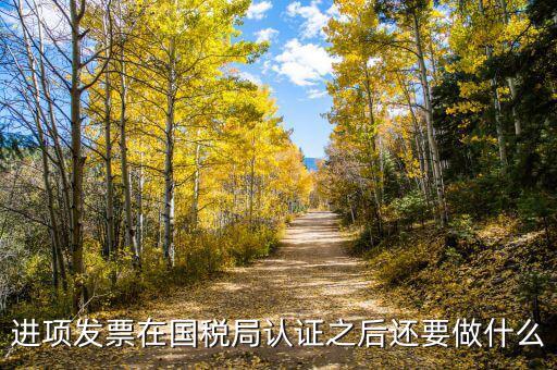 稅務(wù)認(rèn)定之后做什么，新辦企業(yè)稅務(wù)登記證下來后接下來會計該做些什么工作