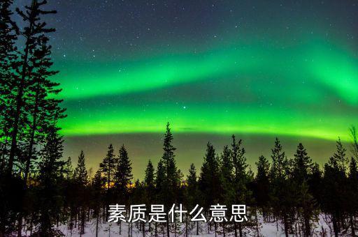 納稅服務(wù)素質(zhì)是什么意思，素質(zhì)的意思是