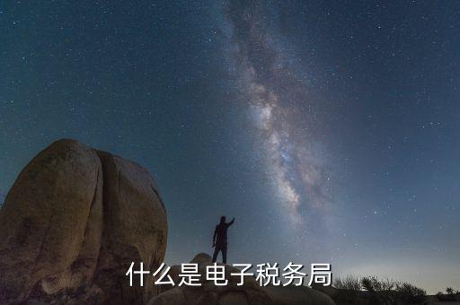 稅務網(wǎng)廳是什么意思，登錄國稅網(wǎng)上辦稅服務廳的用戶名和密碼是什么