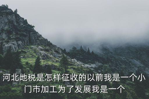 河北省地稅報稅征收方式是什么，河北地稅申報個人所得稅
