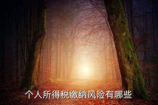 所得稅申報(bào)時(shí)有什么風(fēng)險(xiǎn)提示，個(gè)人所得稅繳納風(fēng)險(xiǎn)有哪些
