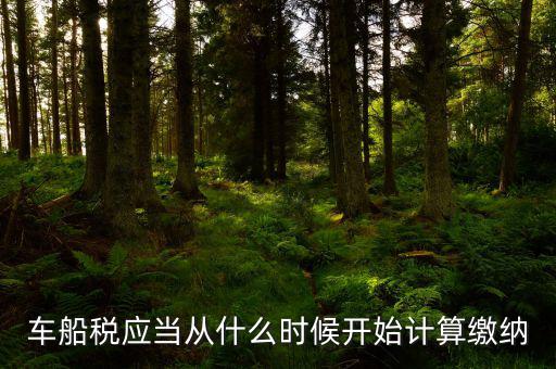 車船什么時間申報，車船稅應當在什么時候申報繳納 承德