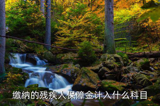 殘疾人就業(yè)保障金稅目是什么，殘疾人就業(yè)保障金應(yīng)計(jì)什么會(huì)計(jì)科目