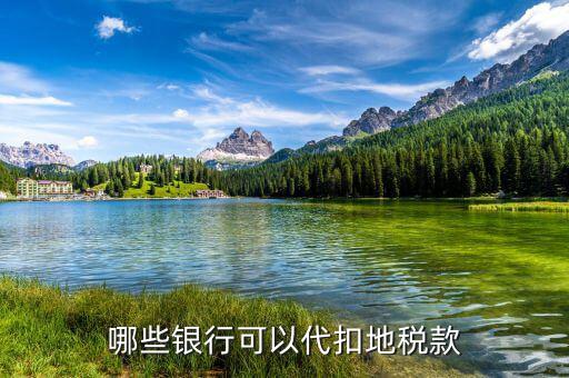 什么銀行代收稅款，哪些銀行代收車船使用稅