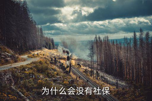 申報社保為什么沒有社保內(nèi)容，為什么會沒有社保