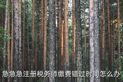 廣東省稅務(wù)師會費什么時候交，廣州2013年的匯算清繳報告什么時候交