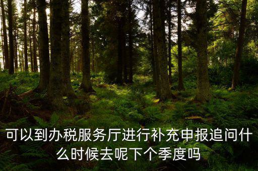 據(jù)實(shí)申報(bào)是按照什么申報(bào)，可以到辦稅服務(wù)廳進(jìn)行補(bǔ)充申報(bào)追問(wèn)什么時(shí)候去呢下個(gè)季度嗎