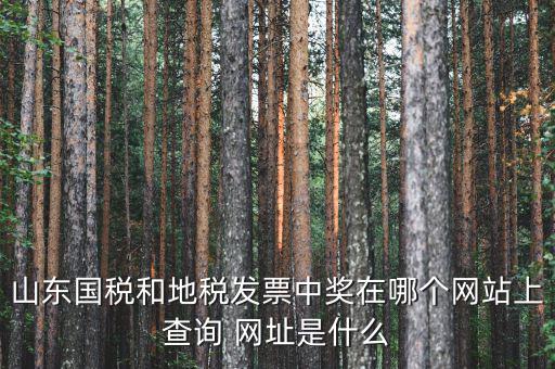 發(fā)票領(lǐng)用什么網(wǎng)站，誰知道發(fā)票兌獎(jiǎng)上那個(gè)網(wǎng)站