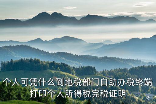 稅務(wù)局自助辦稅服務(wù)終端是什么，自助辦稅終端 報(bào)稅