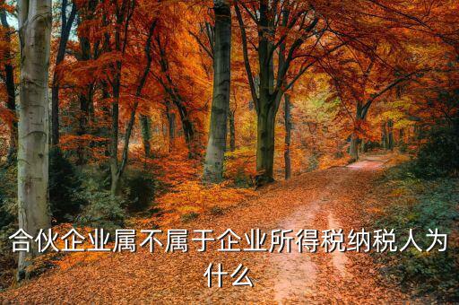 合伙企業(yè)為什么是個(gè)稅納稅人，合伙企業(yè)屬不屬于企業(yè)所得稅納稅人為什么