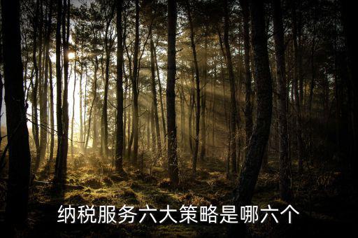 六大減稅措施是什么，針對(duì)個(gè)稅的減稅政策有哪些