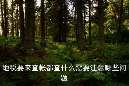 地稅主要查什么，地稅查賬一般都查哪些方面呢