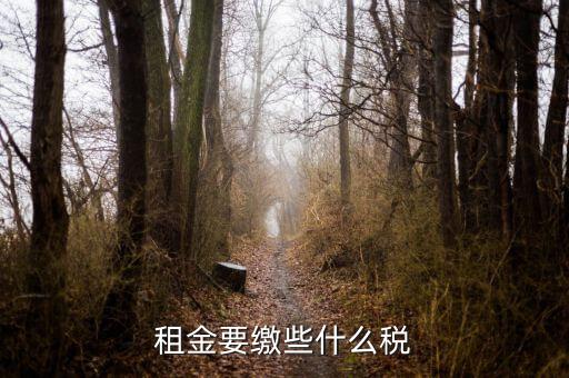 承租者租金交什么稅，租金要繳些什么稅