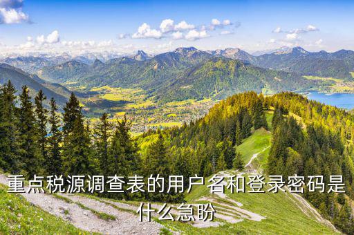重點稅源調查表的用戶名和登錄密碼是什么急盼