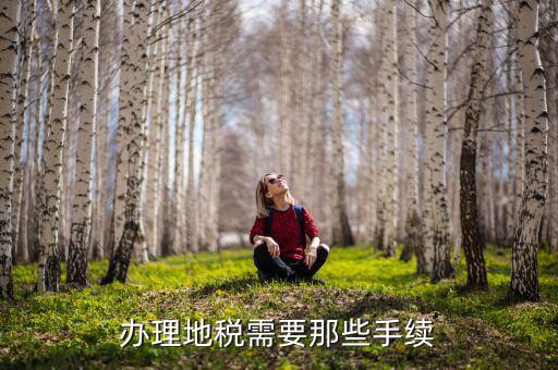 地稅局主要辦理什么，企業(yè)在地稅局主要辦理什么業(yè)務(wù)呢