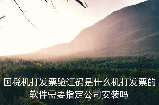 北京國(guó)稅電子發(fā)票驗(yàn)證密碼是什么，國(guó)稅局發(fā)票軟件里用戶代碼和密碼是什么