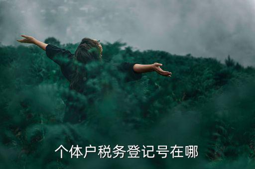 個(gè)體戶(hù)稅務(wù)登記號(hào)在哪