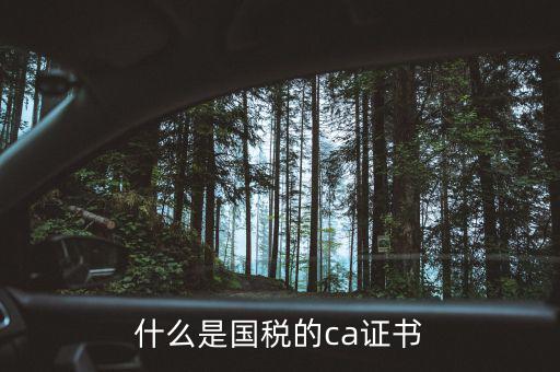 ca稅務(wù)數(shù)字證書是什么，什么是國稅的ca證書