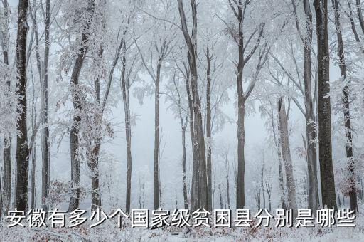 壽縣稅務(wù)局在什么地方，壽縣在什么地方