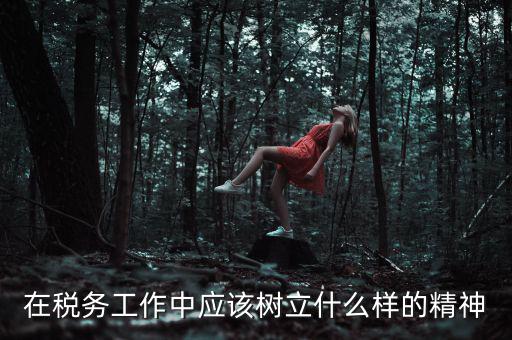中國(guó)稅務(wù)精神是什么2018，在稅務(wù)工作中應(yīng)該樹(shù)立什么樣的精神