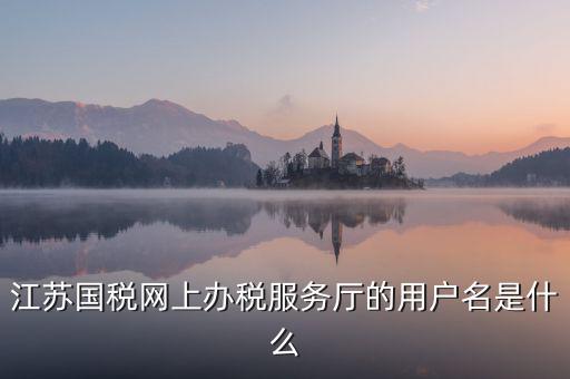 網(wǎng)上辦稅平臺帳號是什么，地稅網(wǎng)上申報(bào)用什么帳號