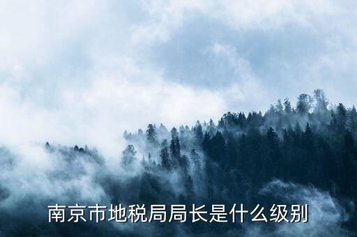 南京市地稅局調研員是什么級別，南京市地稅局局長是什么級別